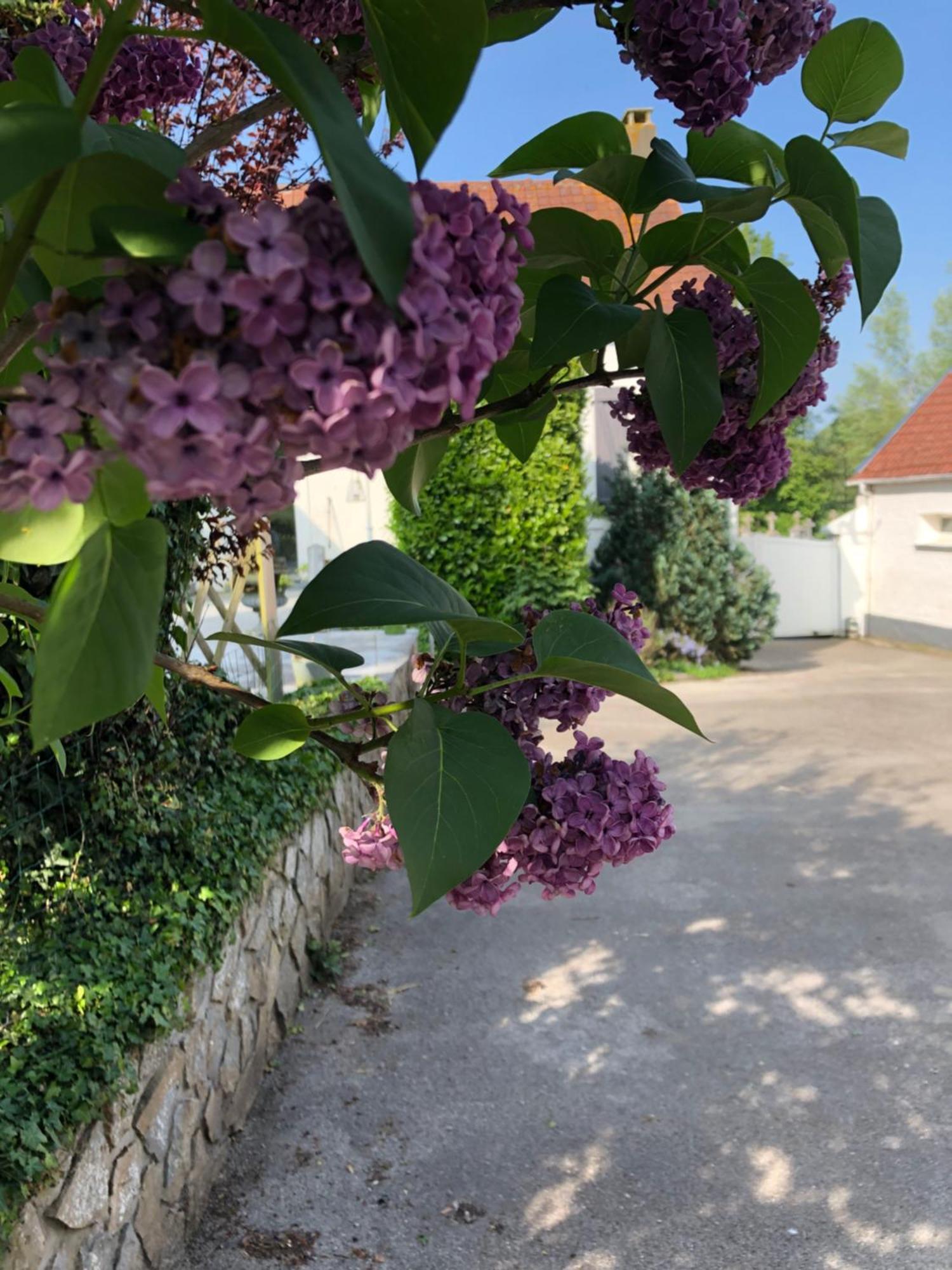 Le Clos De La Pommeraie Carly Екстер'єр фото